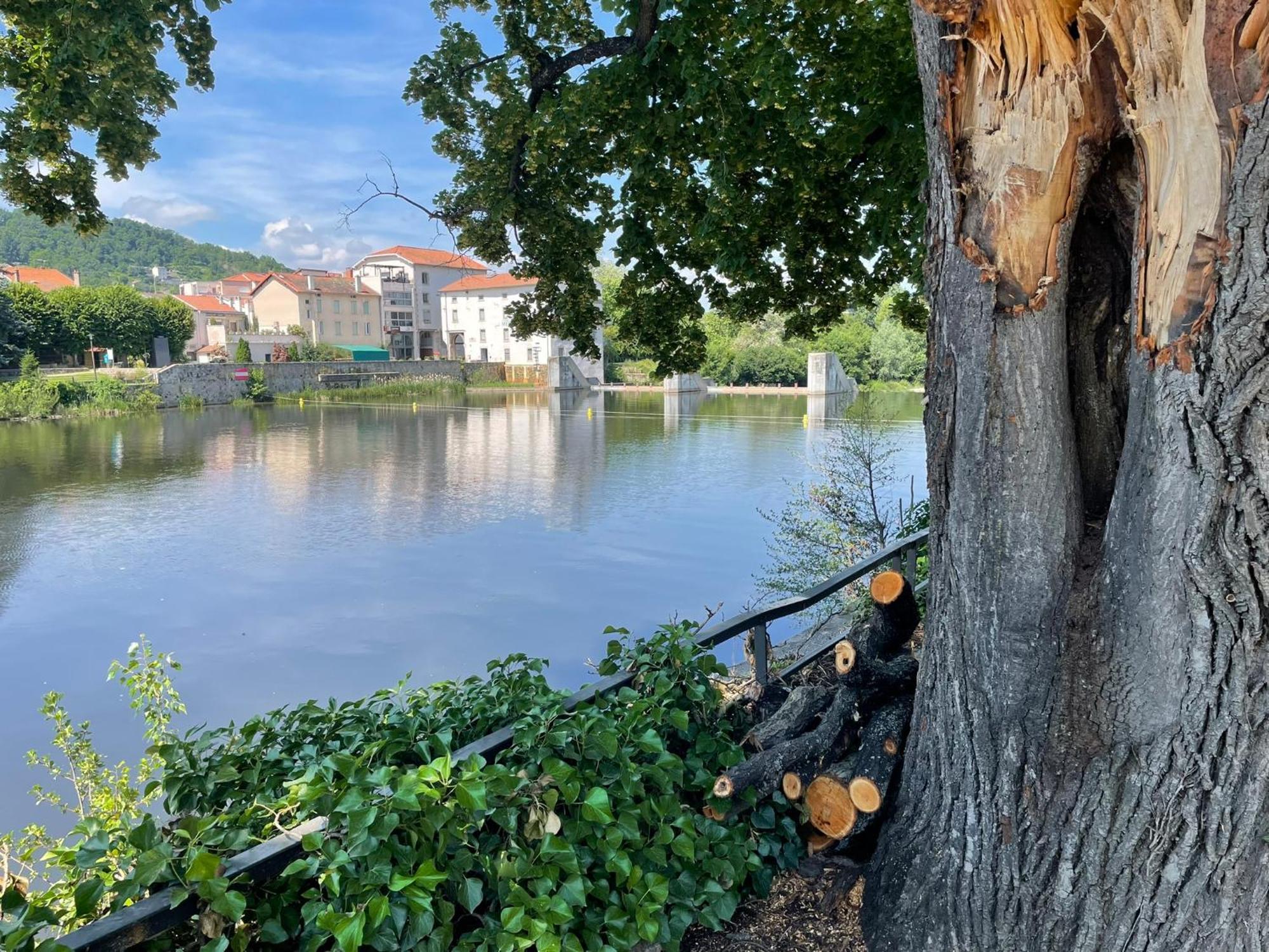 La Brivoise - Maison Calme Et Cosy , Wifi, A 5Min Du Puy Villa Brives-Charensac Exteriör bild